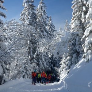 Skischule Neustift Olympia